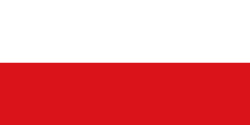 Bandera de San Carlos
