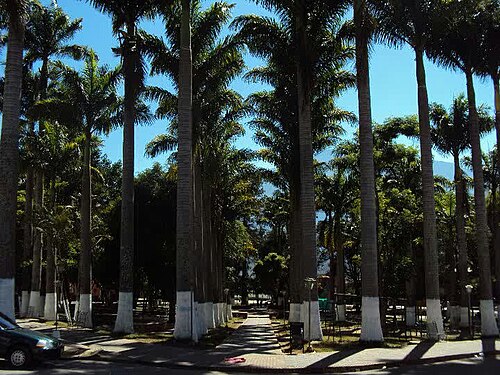 Toledo, Norte de Santander