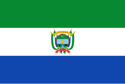 Bandera de Guaviare