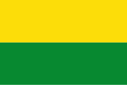 Bandera de López de Micay