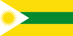 Bandera de Carmen de Apicalá