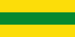 Bandera de La Virginia