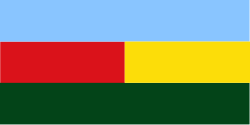 Bandera de Socorro
