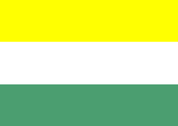 Bandera de El Peñón