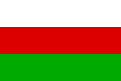 Bandera de Sincelejo