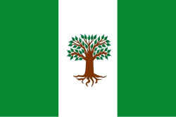 Bandera de Pachavita