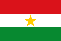 Bandera de Yarumal