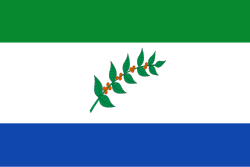Bandera de Briceño