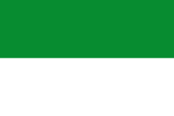 Bandera de Armero