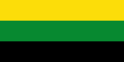 Bandera de Guachetá