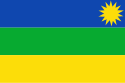 Bandera de San Carlos