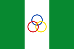 Bandera de Nunchía