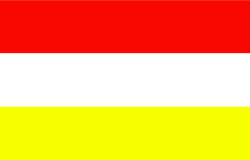 Bandera de Pamplona