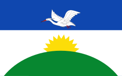 Bandera de Santa Bárbara de Pinto
