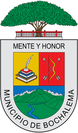 Escudo de Bochalema