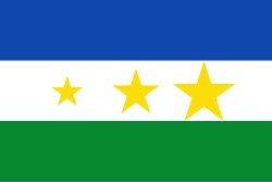 Bandera de Suárez