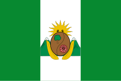 Bandera de Villarrica