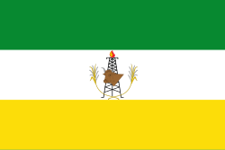 Bandera de Sabana de Torres