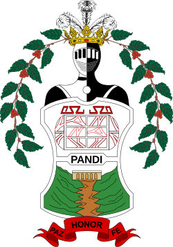 Escudo de Pandi