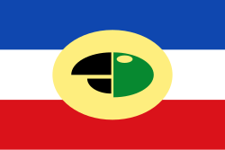 Bandera de Carepa