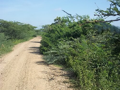 Palmar de Varela, Atlántico