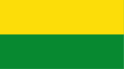 Bandera de Tadó