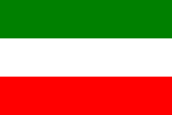 Bandera de Campoalegre