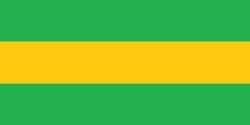 Bandera de Timbiquí