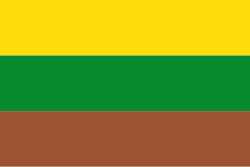 Bandera de Pinchote