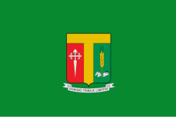 Bandera de Tenjo