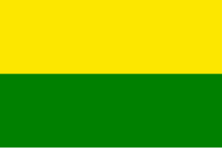 Bandera de La Pintada