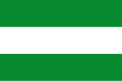 Bandera de San Juanito