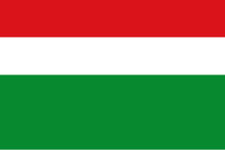 Bandera de Paratebueno