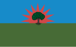 Bandera de Barrancominas