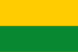 Bandera de Pauna