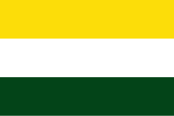 Bandera de El Banco