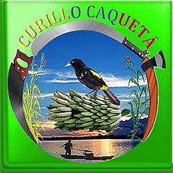 Escudo de Curillo