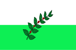 Bandera de San Juan de Rioseco