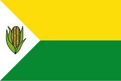 Bandera de Pelaya